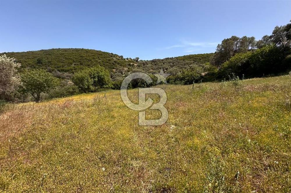 Karaburun Eğlenhoca Mahallesi'nde Deniz Manzaralı 5070 m² Tarla