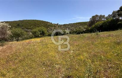 Karaburun Eğlenhoca Mahallesi'nde Deniz Manzaralı 5070 m² Tarla
