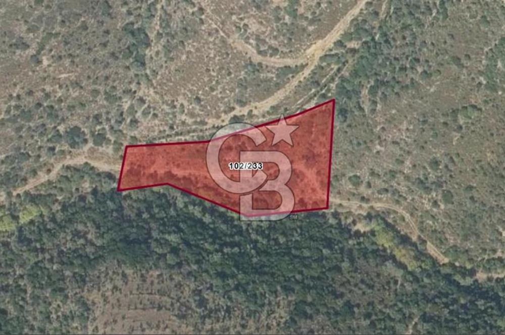 SATILIK TARLA – KARABURUN PARLAK MAHALLESİ'NDE SATILIK TARLA