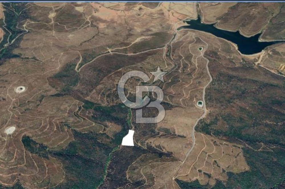 SATILIK TARLA – KARABURUN PARLAK MAHALLESİ'NDE SATILIK TARLA