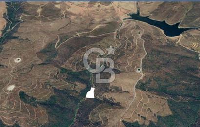 SATILIK TARLA – KARABURUN PARLAK MAHALLESİ'NDE SATILIK TARLA