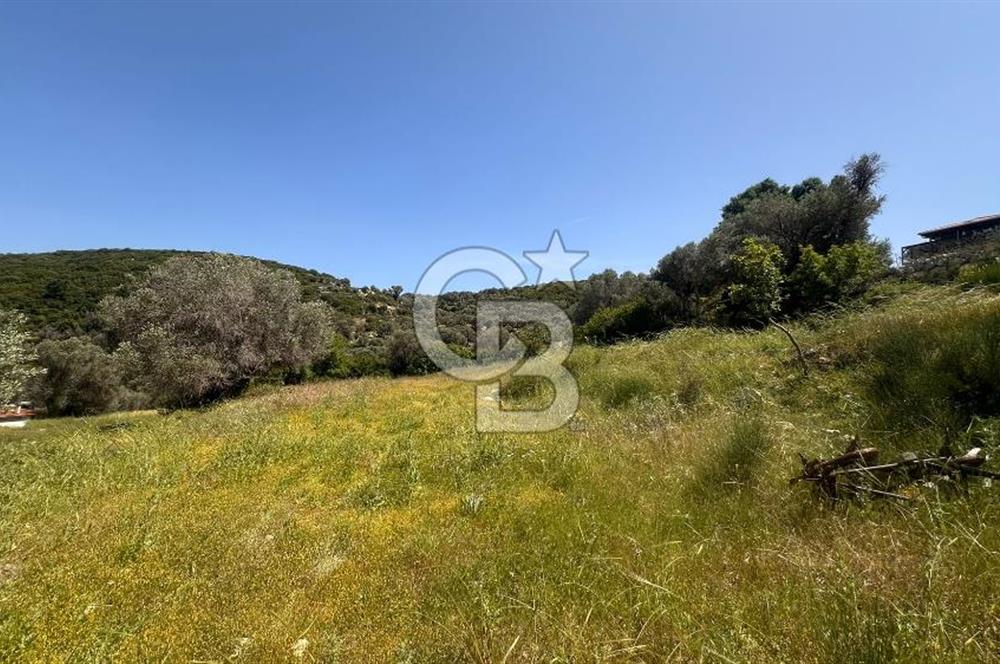 Karaburun Eğlenhoca Mahallesi'nde Deniz Manzaralı 5070 m² Tarla