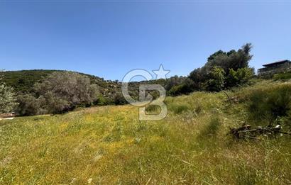 Karaburun Eğlenhoca Mahallesi'nde Deniz Manzaralı 5070 m² Tarla