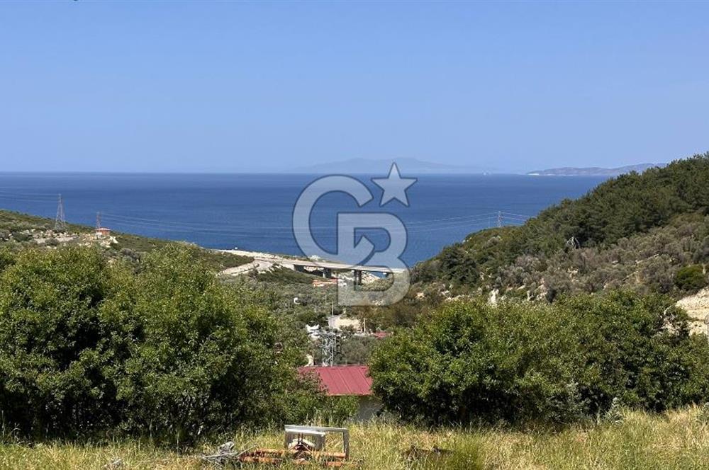 Karaburun Eğlenhoca Mahallesi'nde Deniz Manzaralı 5070 m² Tarla