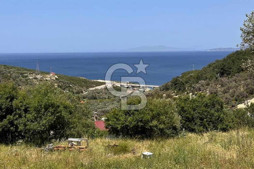 Karaburun Eğlenhoca Mahallesi'nde Deniz Manzaralı 5070 m² Tarla