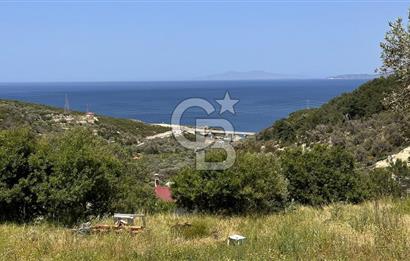 Karaburun Eğlenhoca Mahallesi'nde Deniz Manzaralı 5070 m² Tarla