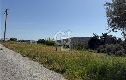 Menderes Değirmendere'de 3437 M² Tek Tapu Satılık Tarla