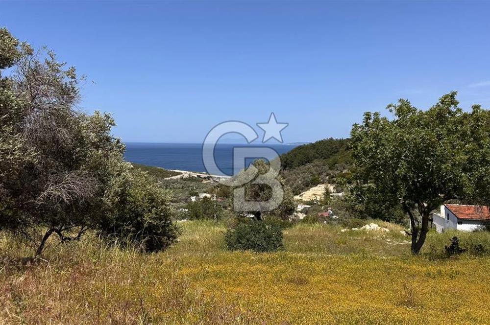 Karaburun Eğlenhoca Mahallesi'nde Deniz Manzaralı 5070 m² Tarla