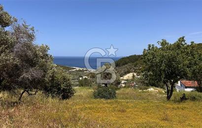 Karaburun Eğlenhoca Mahallesi'nde Deniz Manzaralı 5070 m² Tarla