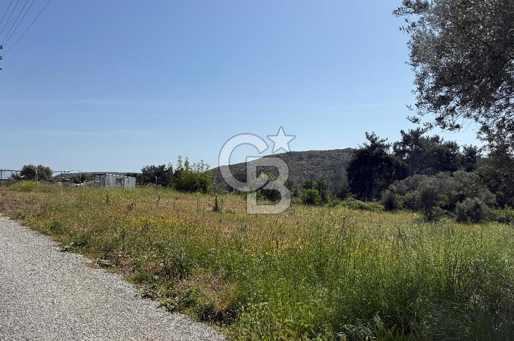 Menderes Değirmendere'de 3437 M² Tek Tapu Satılık Tarla