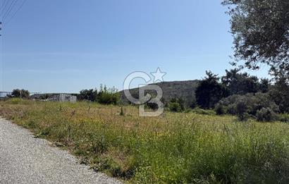 Menderes Değirmendere'de 3437 M² Tek Tapu Satılık Tarla