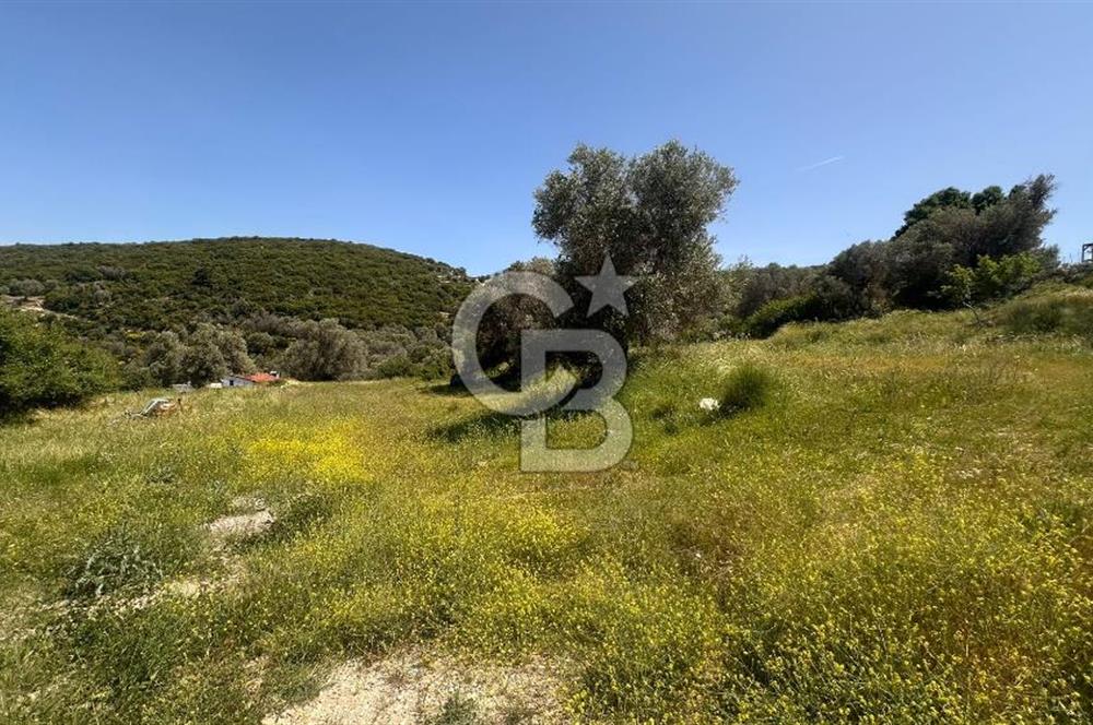 Karaburun Eğlenhoca Mahallesi'nde Deniz Manzaralı 5070 m² Tarla