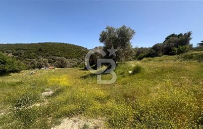 Karaburun Eğlenhoca Mahallesi'nde Deniz Manzaralı 5070 m² Tarla