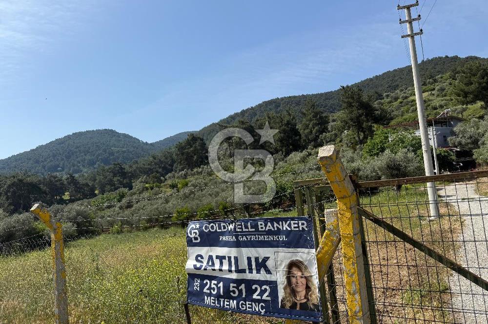 Menderes Değirmendere'de 3437 M² Tek Tapu Satılık Tarla