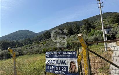 Menderes Değirmendere'de 3437 M² Tek Tapu Satılık Tarla