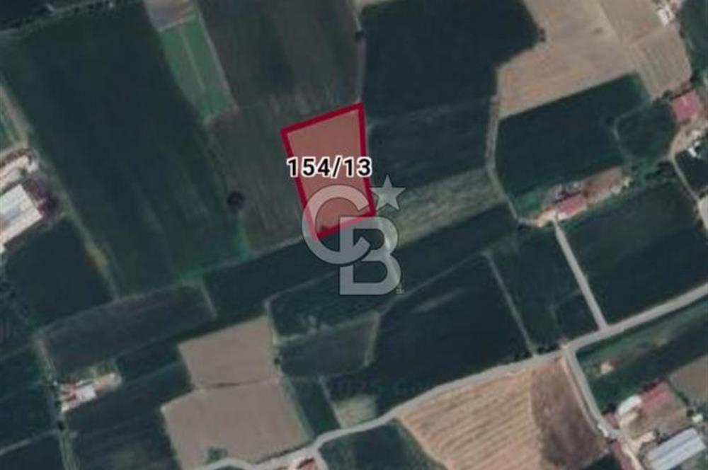 MİLAS SELİMİYE'DE 8750 m² SATILIK TARLA