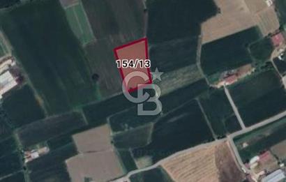 MİLAS SELİMİYE'DE 8750 m² SATILIK TARLA