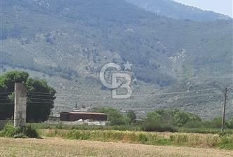 MİLAS SELİMİYE'DE 8750 m² SATILIK TARLA