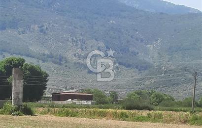 MİLAS SELİMİYE'DE 8750 m² SATILIK TARLA