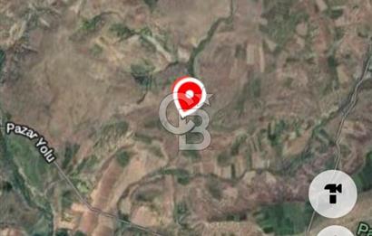 Kızılcıhamam'da 3.074 m2 Tek Tapu Satılık Tarla