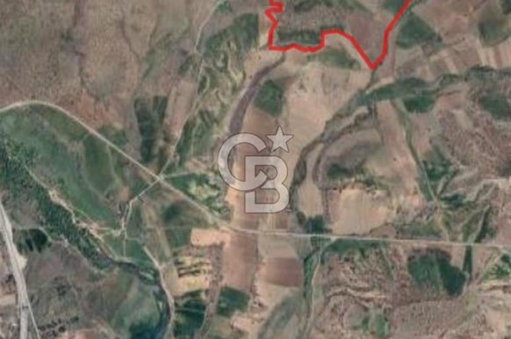 Kızılcıhamam'da 3.074 m2 Tek Tapu Satılık Tarla