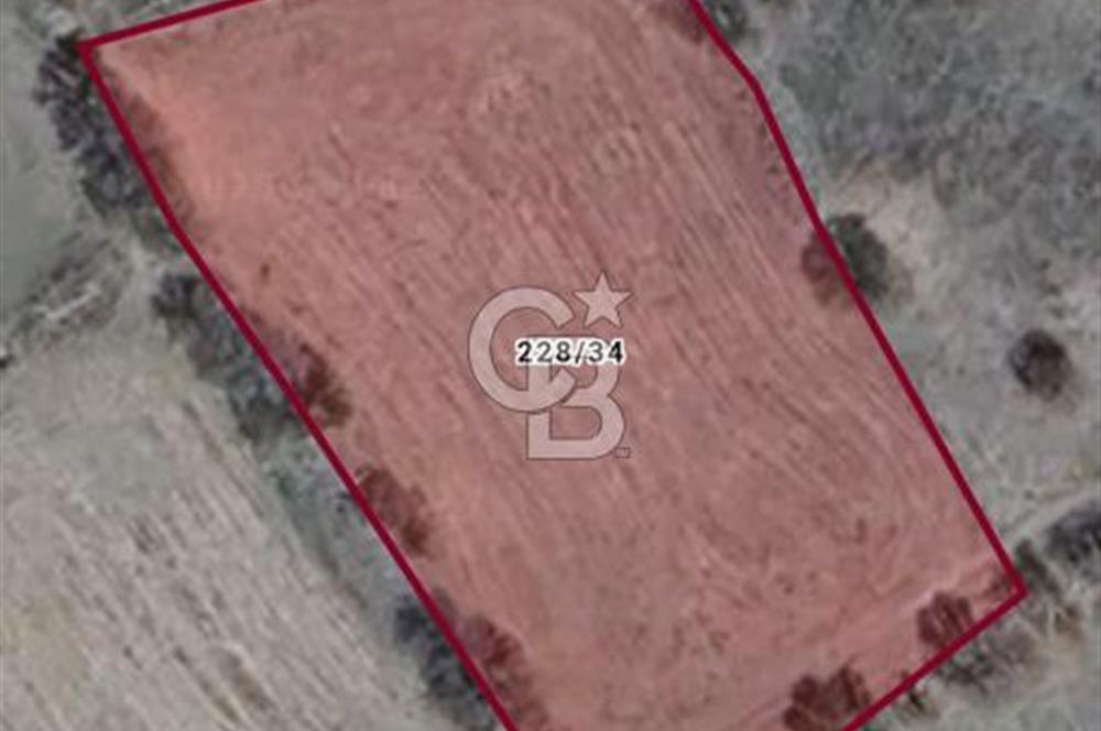 Kızılcıhamam'da 3.074 m2 Tek Tapu Satılık Tarla