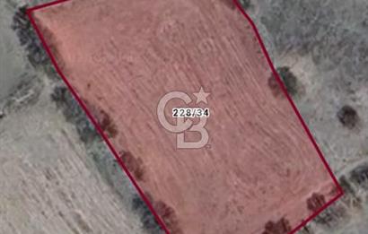 Kızılcıhamam'da 3.074 m2 Tek Tapu Satılık Tarla