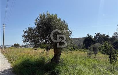 Menderes Değirmendere'de 3437 M² Tek Tapu Satılık Tarla
