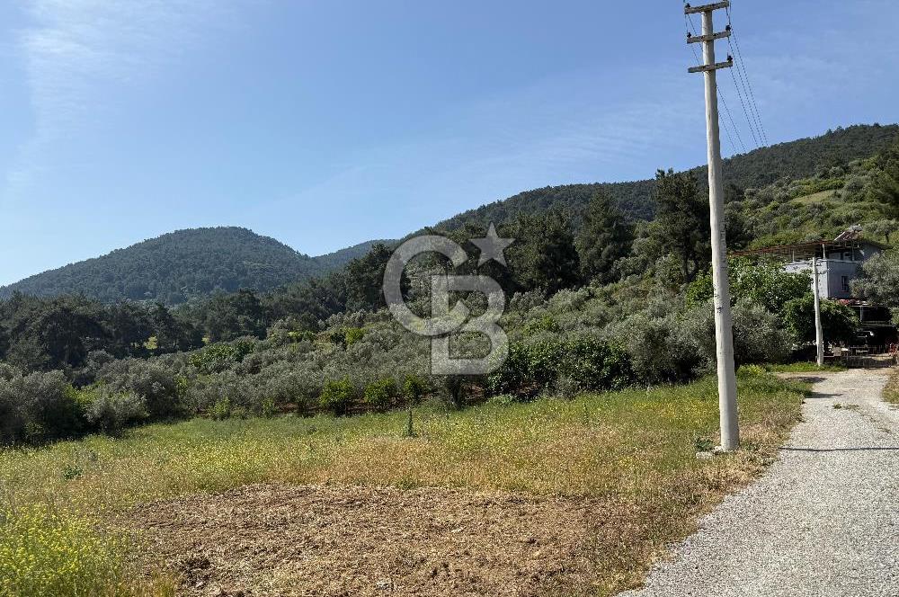 Menderes Değirmendere'de 3437 M² Tek Tapu Satılık Tarla