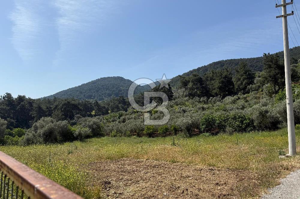 Menderes Değirmendere'de 3437 M² Tek Tapu Satılık Tarla