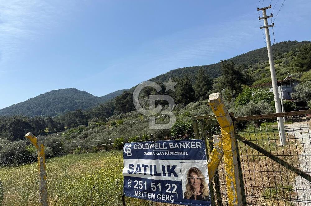 Menderes Değirmendere'de 3437 M² Tek Tapu Satılık Tarla