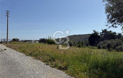 Menderes Değirmendere'de 3437 M² Tek Tapu Satılık Tarla