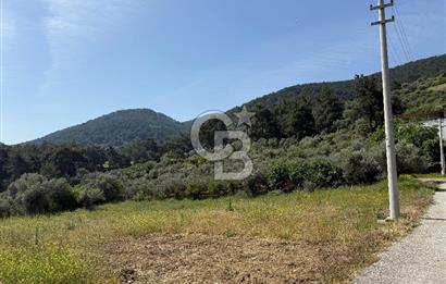 Menderes Değirmendere'de 3437 M² Tek Tapu Satılık Tarla