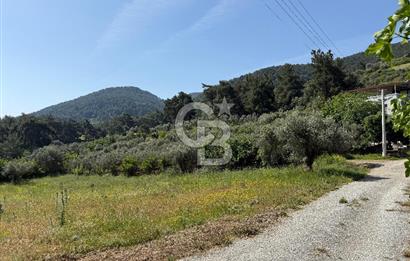 Menderes Değirmendere'de 3437 M² Tek Tapu Satılık Tarla