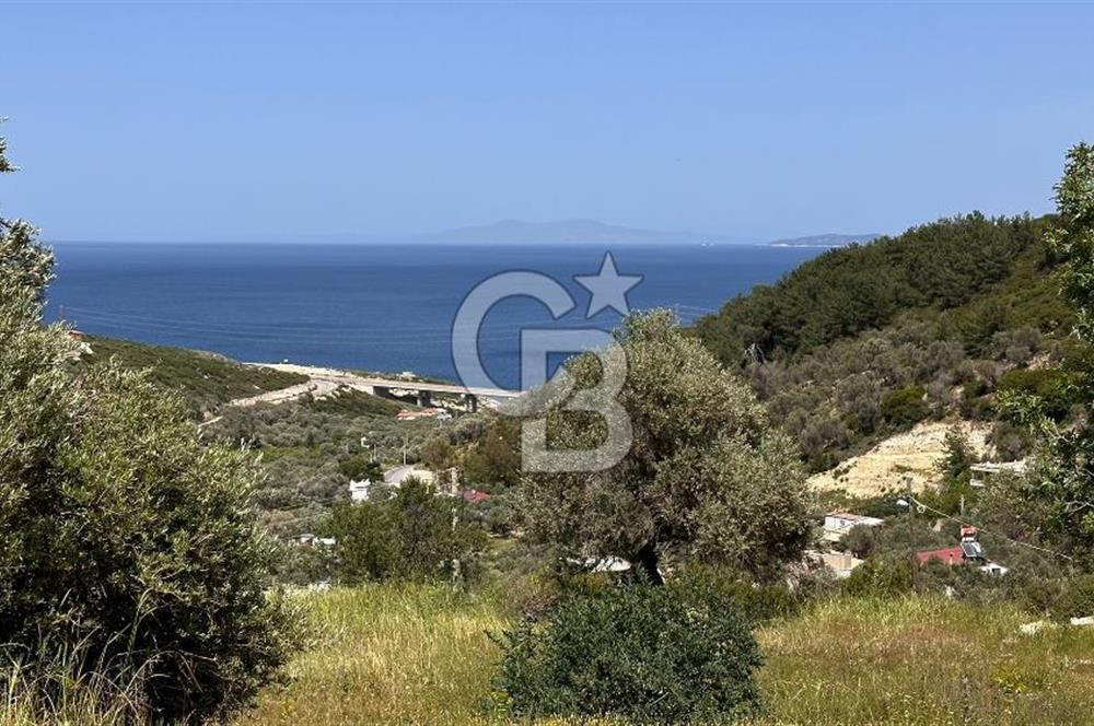 Karaburun Eğlenhoca Mahallesi'nde Deniz Manzaralı 5070 m² Tarla