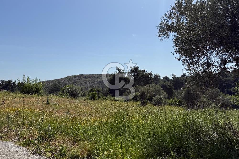Menderes Değirmendere'de 3437 M² Tek Tapu Satılık Tarla