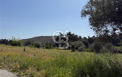 Menderes Değirmendere'de 3437 M² Tek Tapu Satılık Tarla