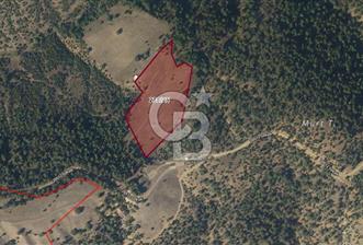 Dursunbey Gökçedağ'da FIRSAT Satılık 18414 m2 Tarla