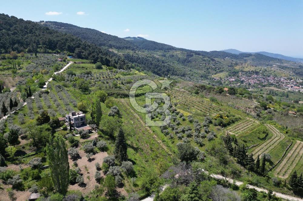 SELÇUK ŞİRİNCE’DE SATILIK 10778 M2 MÜSTAKİL BAHÇE