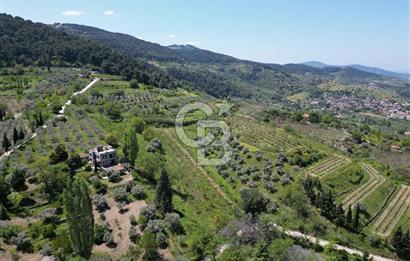 SELÇUK ŞİRİNCE’DE SATILIK 10778 M2 MÜSTAKİL BAHÇE