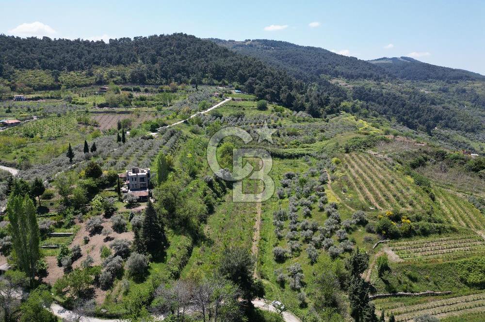 SELÇUK ŞİRİNCE’DE SATILIK 10778 M2 MÜSTAKİL BAHÇE
