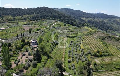 SELÇUK ŞİRİNCE’DE SATILIK 10778 M2 MÜSTAKİL BAHÇE
