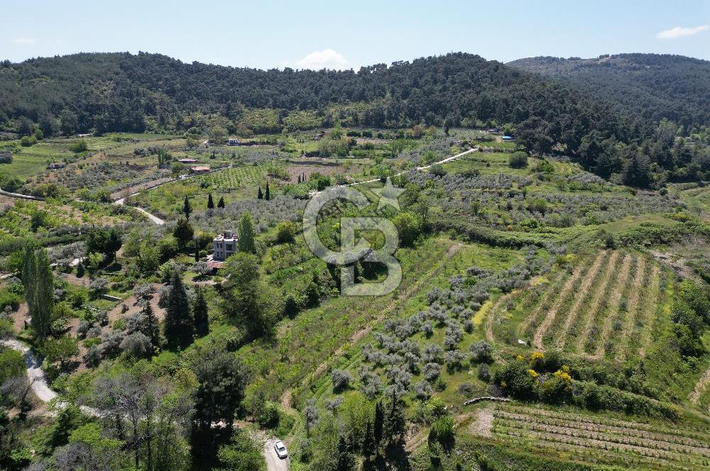SELÇUK ŞİRİNCE’DE SATILIK 10778 M2 MÜSTAKİL BAHÇE