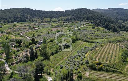 SELÇUK ŞİRİNCE’DE SATILIK 10778 M2 MÜSTAKİL BAHÇE