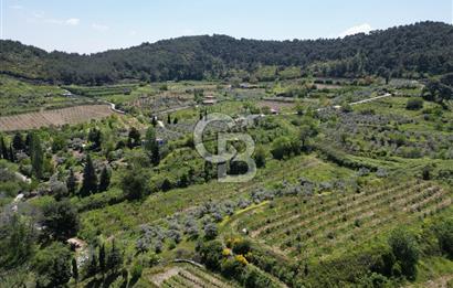 SELÇUK ŞİRİNCE’DE SATILIK 10778 M2 MÜSTAKİL BAHÇE