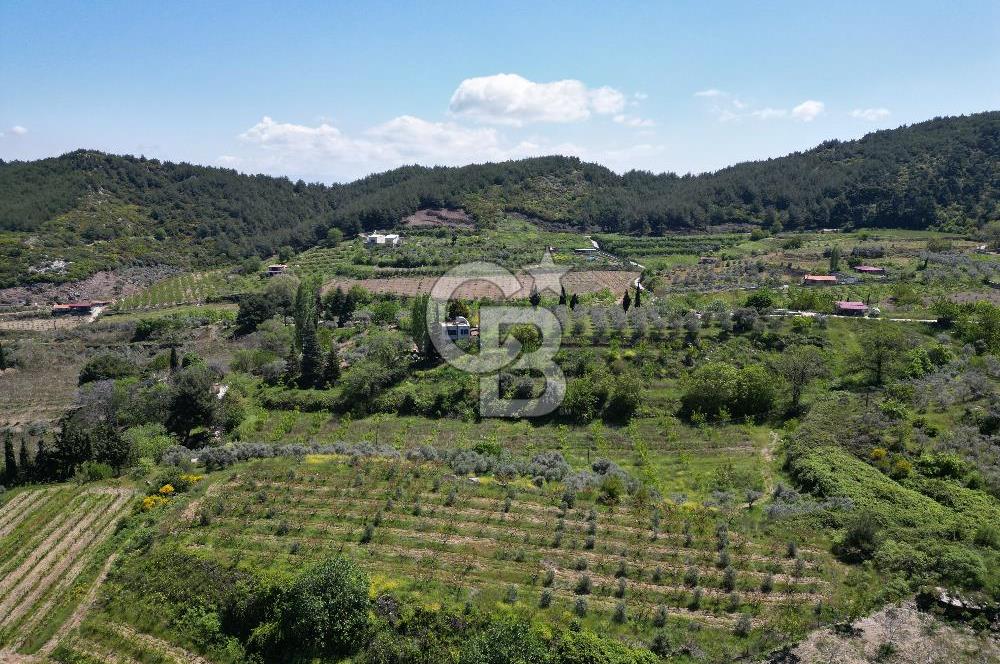 SELÇUK ŞİRİNCE’DE SATILIK 10778 M2 MÜSTAKİL BAHÇE