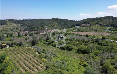 SELÇUK ŞİRİNCE’DE SATILIK 10778 M2 MÜSTAKİL BAHÇE