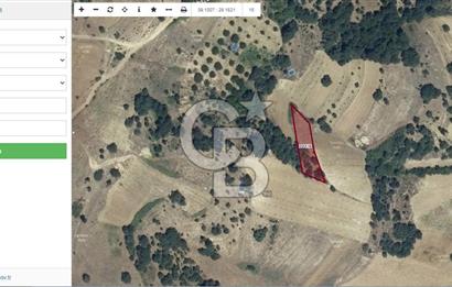 Balıkesir Sındırgı Kınık'ta Satılık 1021 m2 Tarla