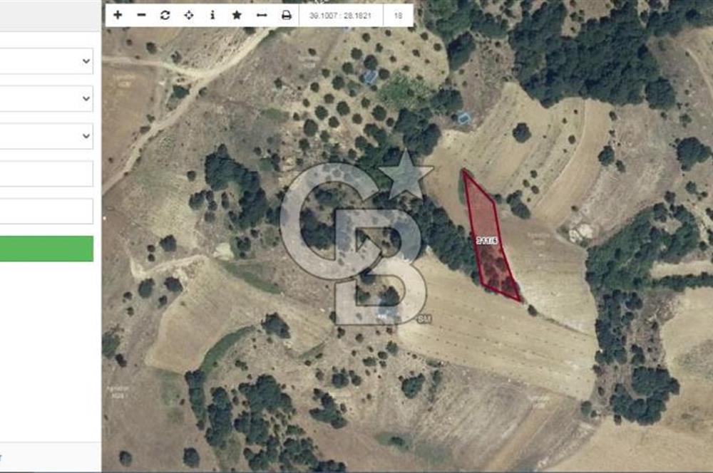 Balıkesir Sındırgı Kınık'ta Satılık 1021 m2 Tarla