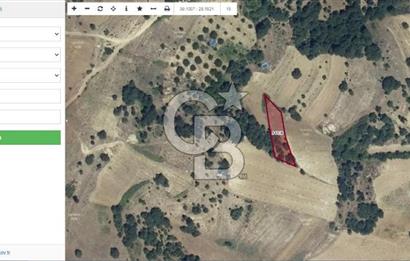 Balıkesir Sındırgı Kınık'ta Satılık 1021 m2 Tarla
